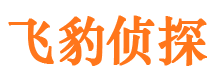 麒麟市私家侦探